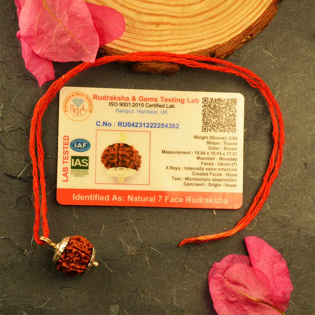 7 MUKHI NEPALI RUDRAKSHA WITH SILVER CAP