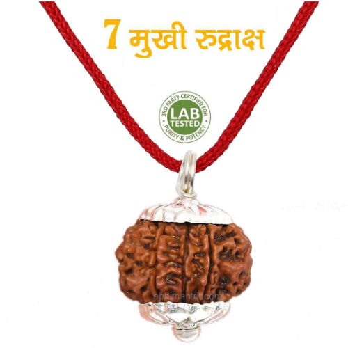 7 MUKHI NEPALI RUDRAKSHA WITH SILVER CAP