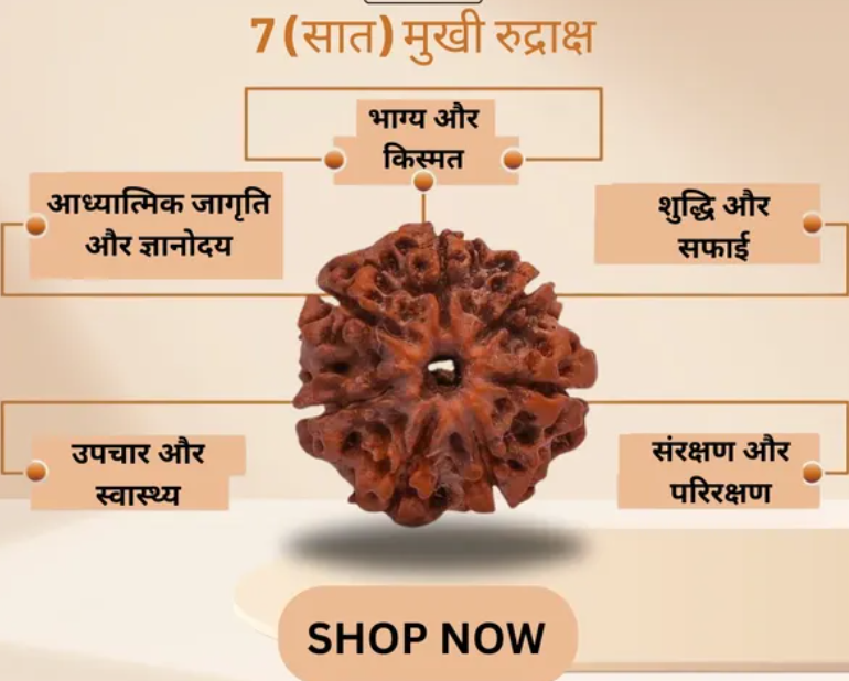 7 MUKHI NEPALI RUDRAKSHA WITH SILVER CAP